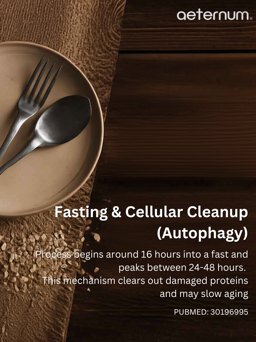 Fasting & Cellular Cleanup: How Skipping Meals Could Help Your Body Heal Itself