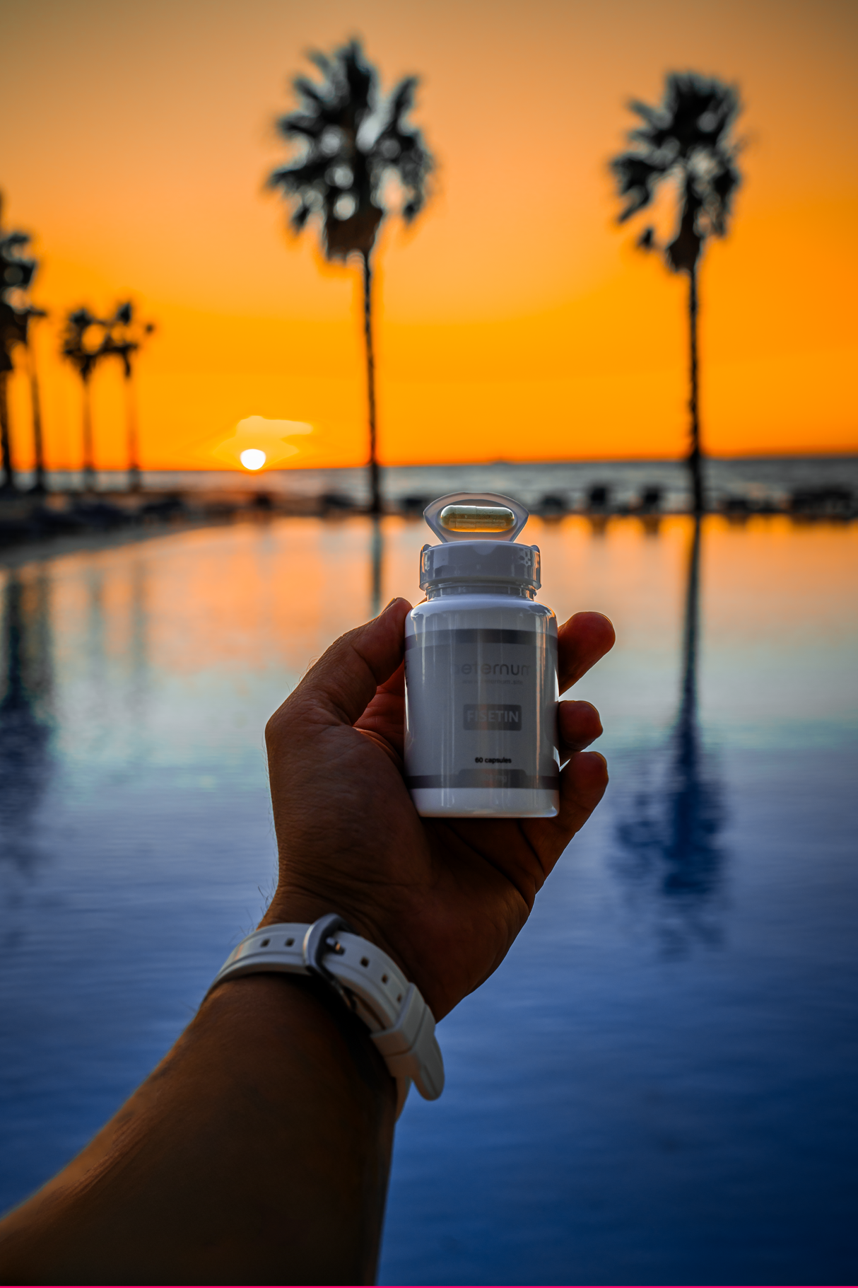 Aeternum Fisetin 500mg Capsules