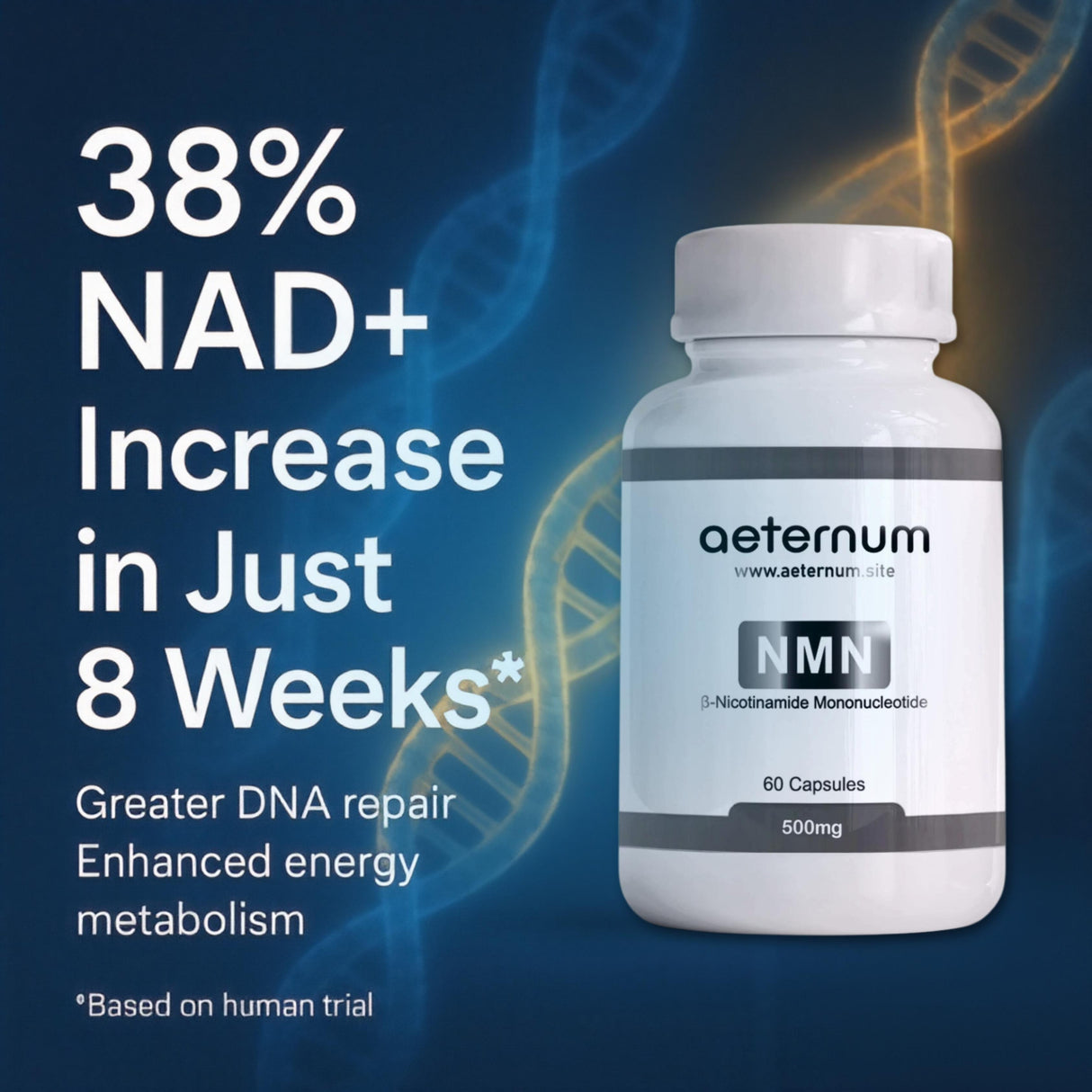 500 mg NMN-Kapseln – REINES NMN – Nicotinamid-Mononukleotid (Beta, β-NMN)