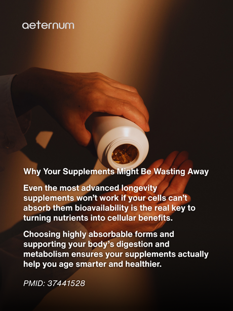 Why Longevity Supplements Don’t Work If Your Cells Can’t Absorb Them