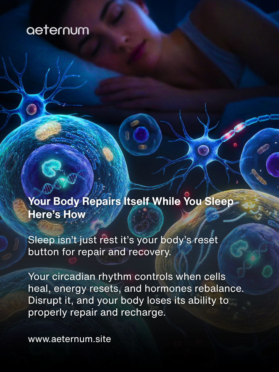 Your Body’s Reset Button: How Sleep Powers Cellular Repair