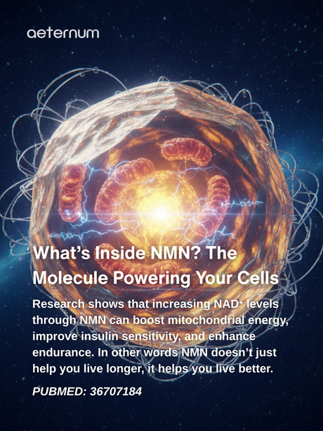 What’s Inside NMN? The Molecule Powering Your Cells