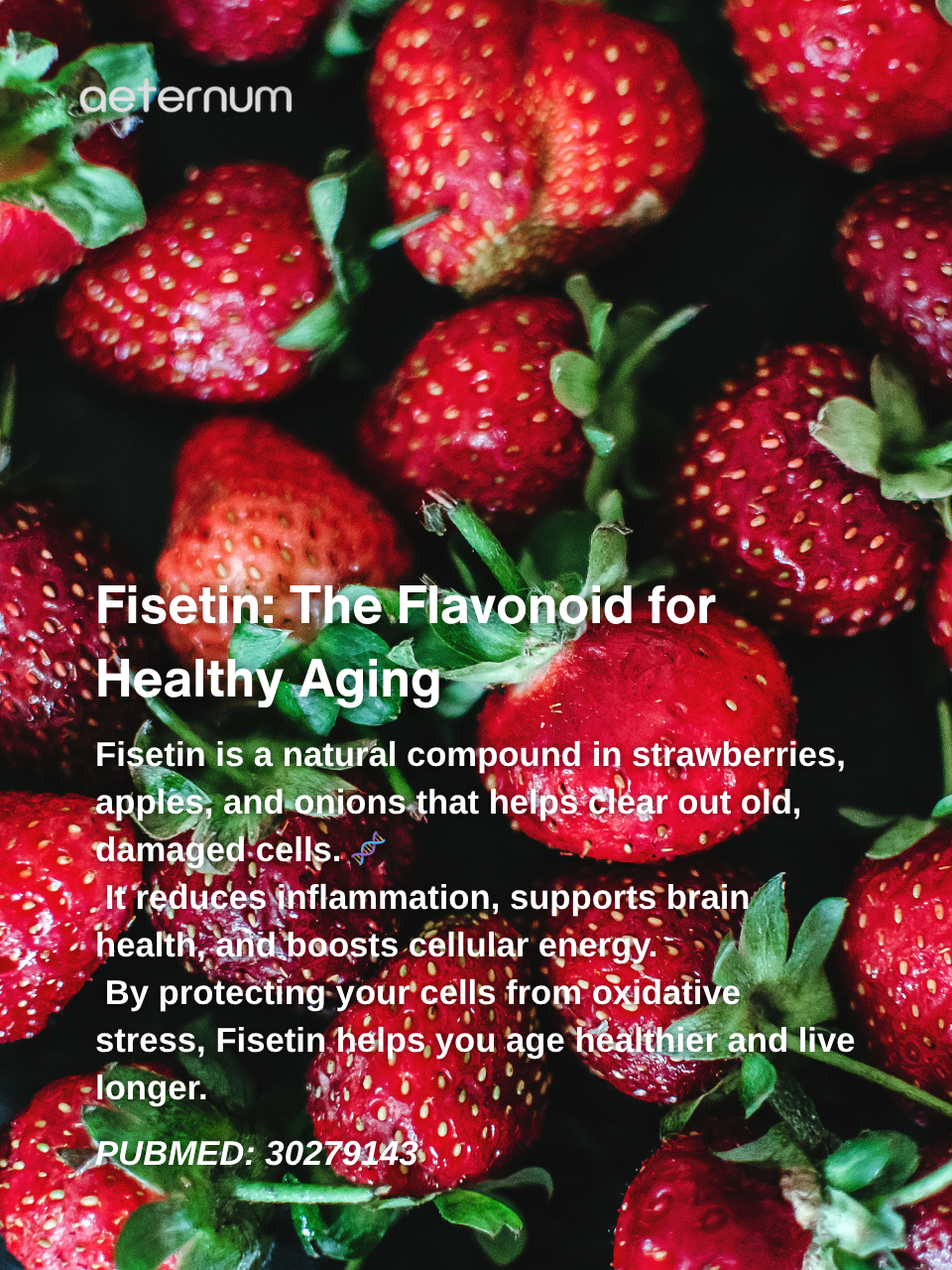 Fisetin: How Cellular Renewal Powers Better Recovery