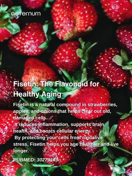 Fisetin: How Cellular Renewal Powers Better Recovery