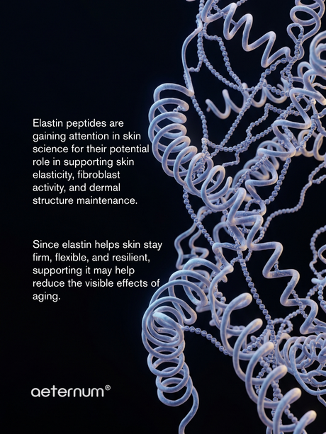 Elastin Peptides & Dermal Repair: The Science Behind Stronger, More Resilient Skin