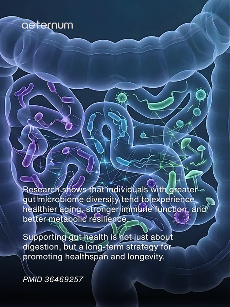 Your Gut: The Tiny World That Shapes Your Weight and Your Lifespan