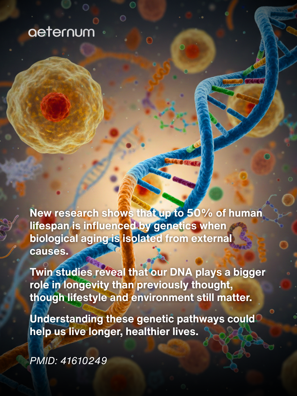 Could Your DNA Be Steering Half Your Lifespan? A Powerful New Twin Study Says Yes