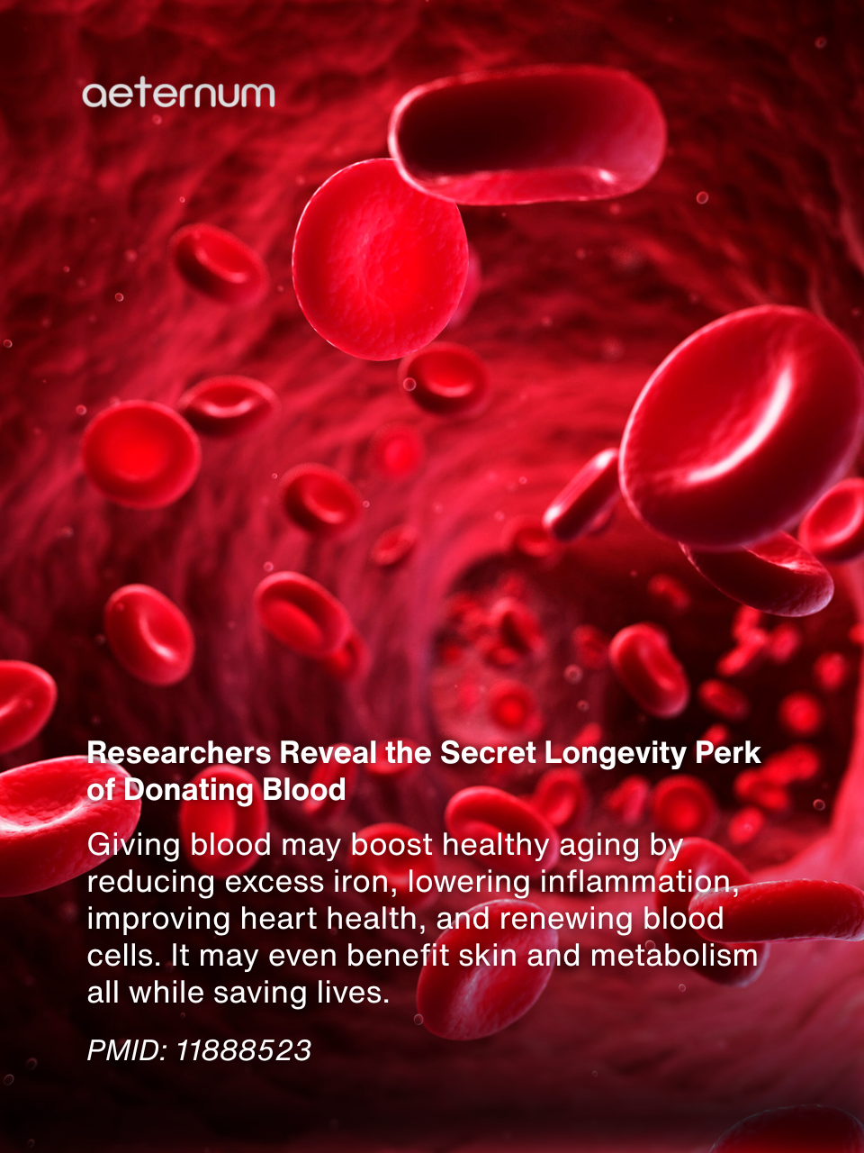 The Longevity Link You Didn’t Expect: How Giving Blood May Support Healthy Aging