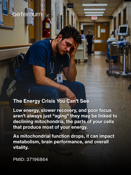 The Best Supplement for Mitochondrial Health: (Backed by Science)