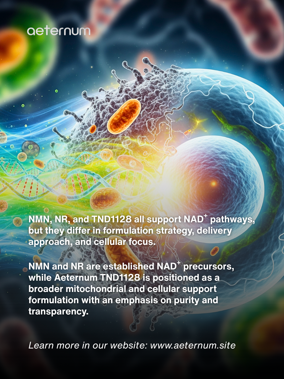 TND1128 vs NMN vs NR: The Real Difference in NAD⁺ Supplements Explained