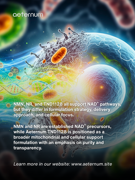 TND1128 vs NMN vs NR: The Real Difference in NAD⁺ Supplements Explained