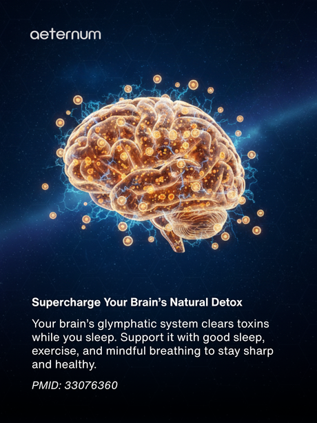 Your Brain Has a Built‑In Detox System Here’s How to Supercharge It