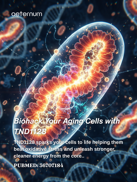 Biohack Your Aging Cells with TND1128