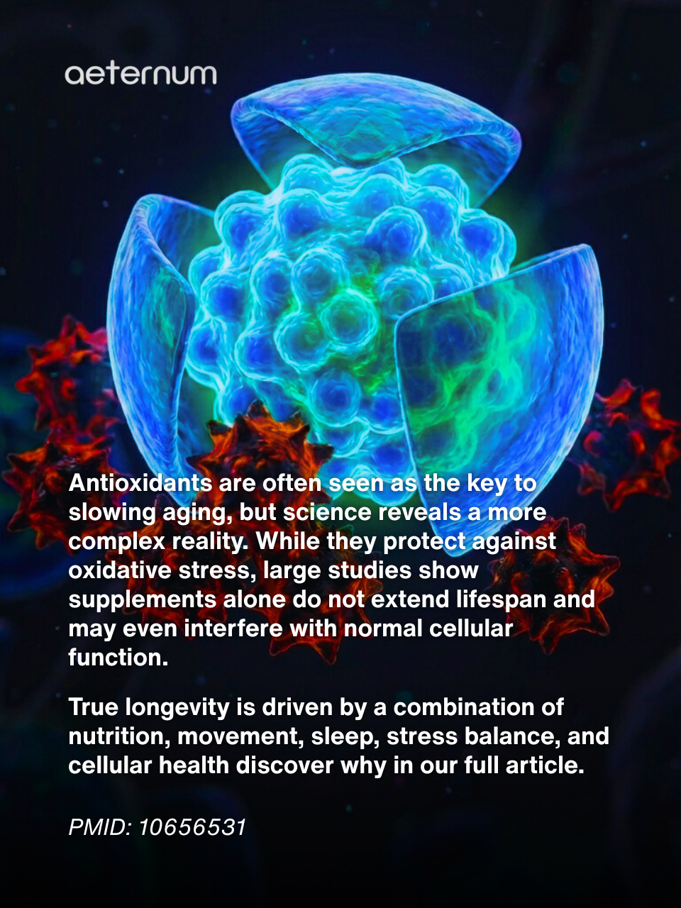 Why Antioxidants Alone Aren’t Enough for Longevity