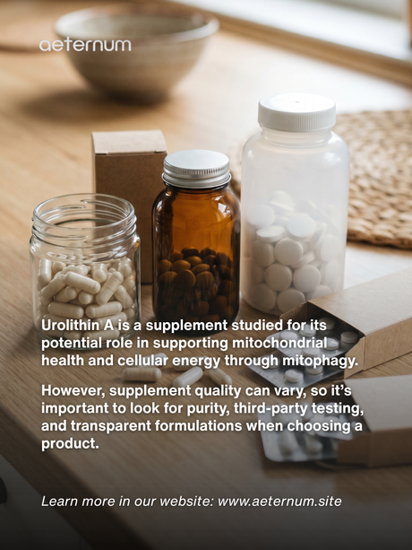 The Urolithin A Difference: What to Look For When Choosing a Quality Supplement