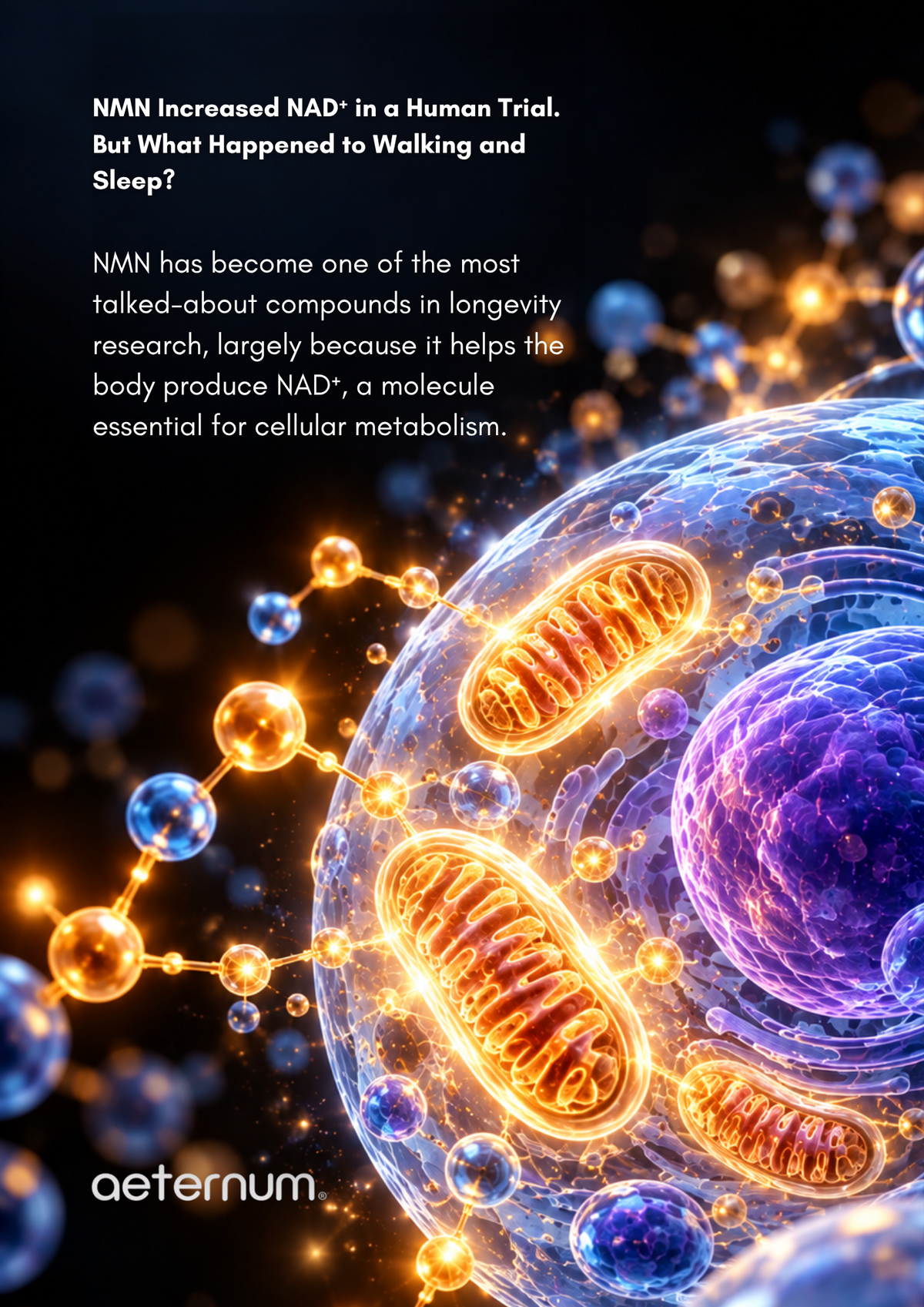 What Did a Human NMN Trial Actually Find About NAD⁺, Walking and Sleep?