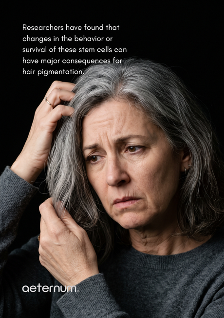 Gray Hair Isn't Simply About “Getting Older.” Scientists Are Studying What Happens Inside the Hair Follicle.