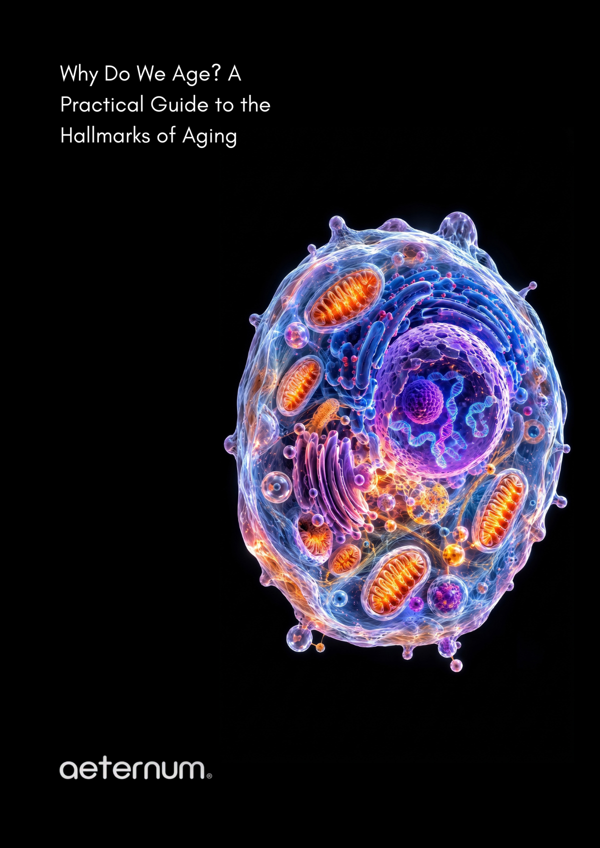 Why Do We Age? A Practical Guide to the Hallmarks of Aging