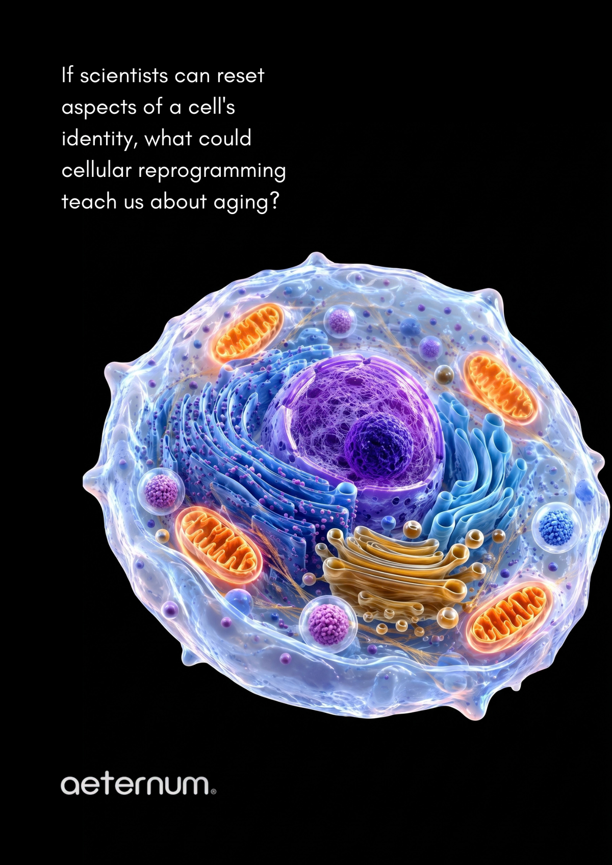 What If Aging Cells Could Be Reprogrammed? What Skin-Cell Reprogramming Research Actually Shows