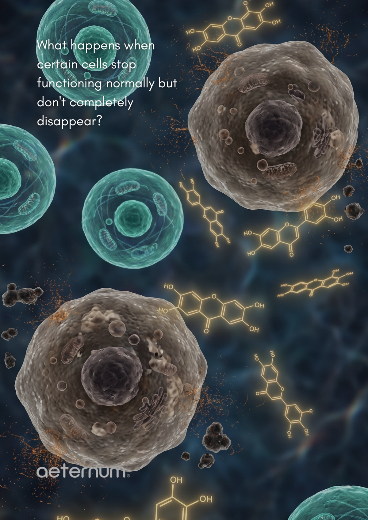 The “Cellular Spring Cleaning” Nutrient Nobody’s Talking About