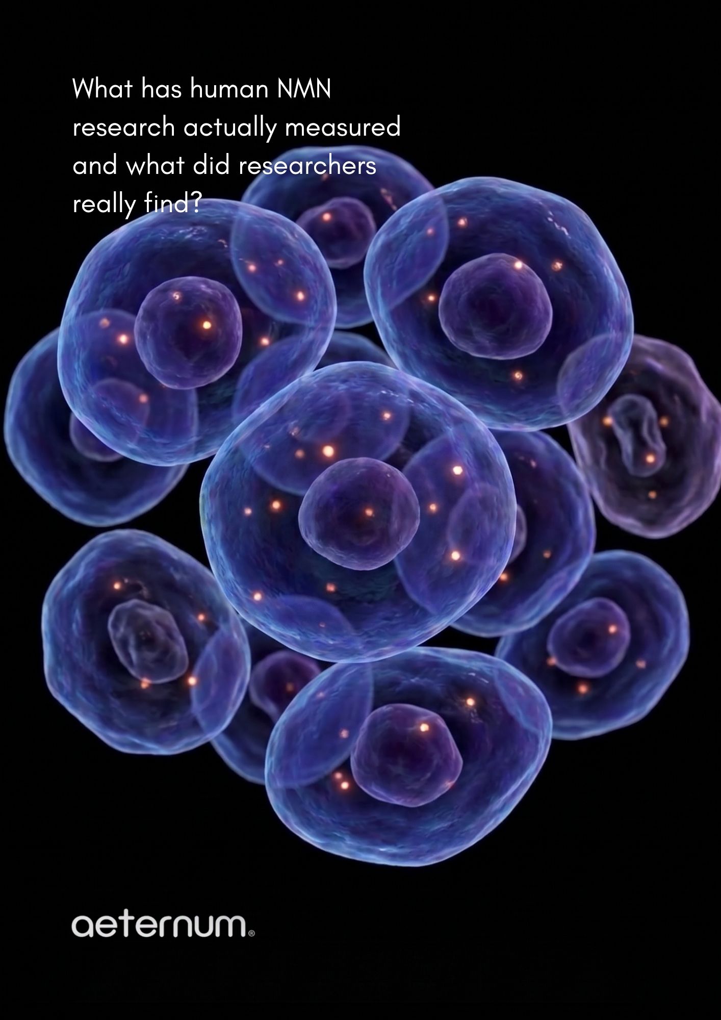 NAD+ Levels Change With Age. But What Did Human NMN Research Actually Find?