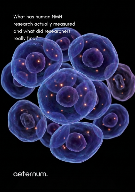 NAD+ Levels Change With Age. But What Did Human NMN Research Actually Find?