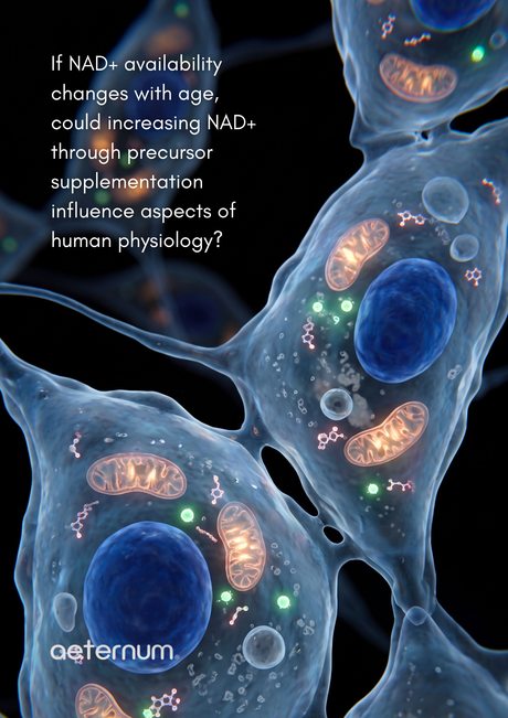 What Happens to NAD+ as We Get Older?