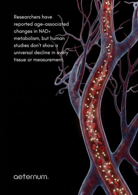 If NAD+ Changes With Age, Why Are Researchers Studying NMN?