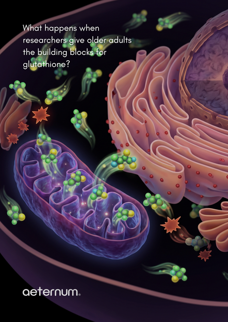 Why Did Researchers Study GlyNAC for 16 Weeks in Older Adults?