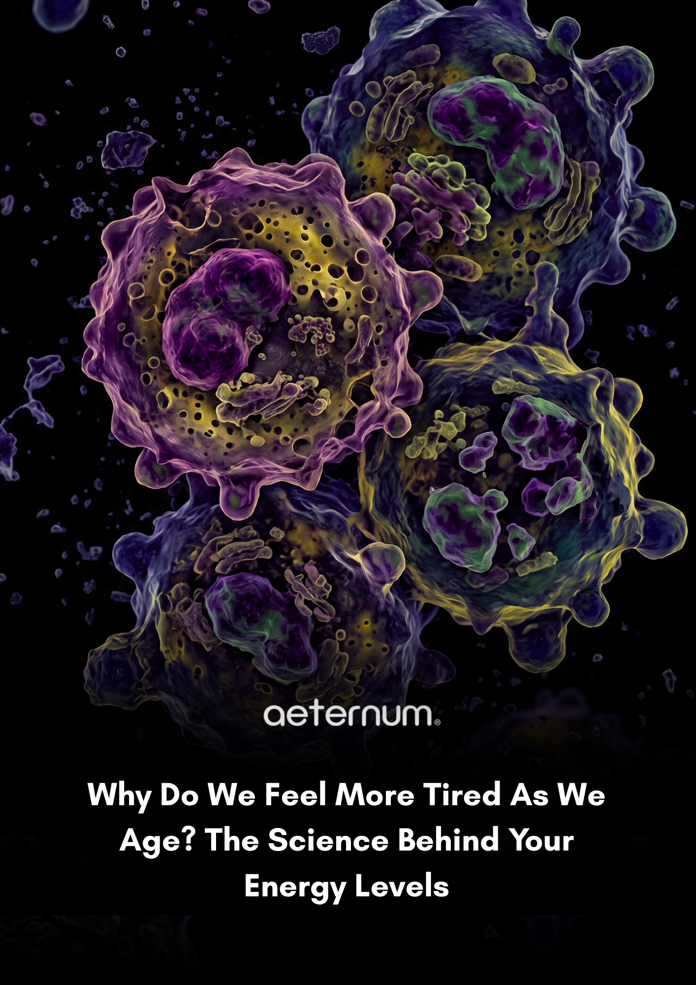 Why Do We Feel More Tired As We Age? The Science Behind Your Energy Levels