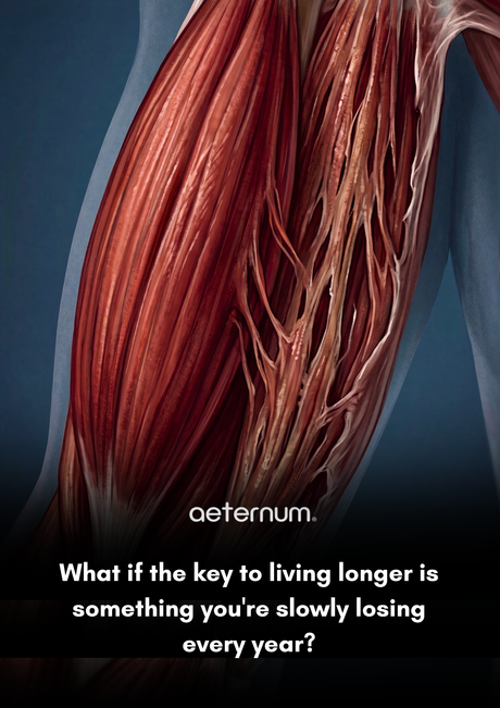 The Connection Between Muscle Mass and Healthy Aging: Why Your Strength Is a Longevity Signal
