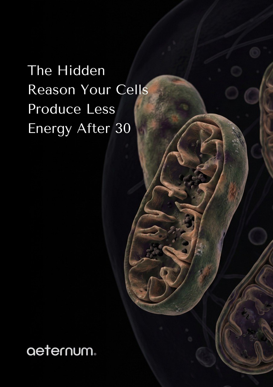 The Hidden Reason Your Cells Produce Less Energy After 30