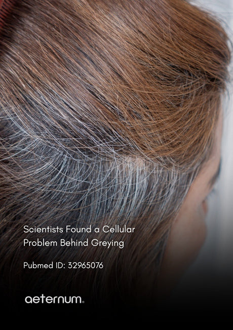 Why Does Hair Turn Grey? The Science Behind Supporting Your Hair's Natural Colour