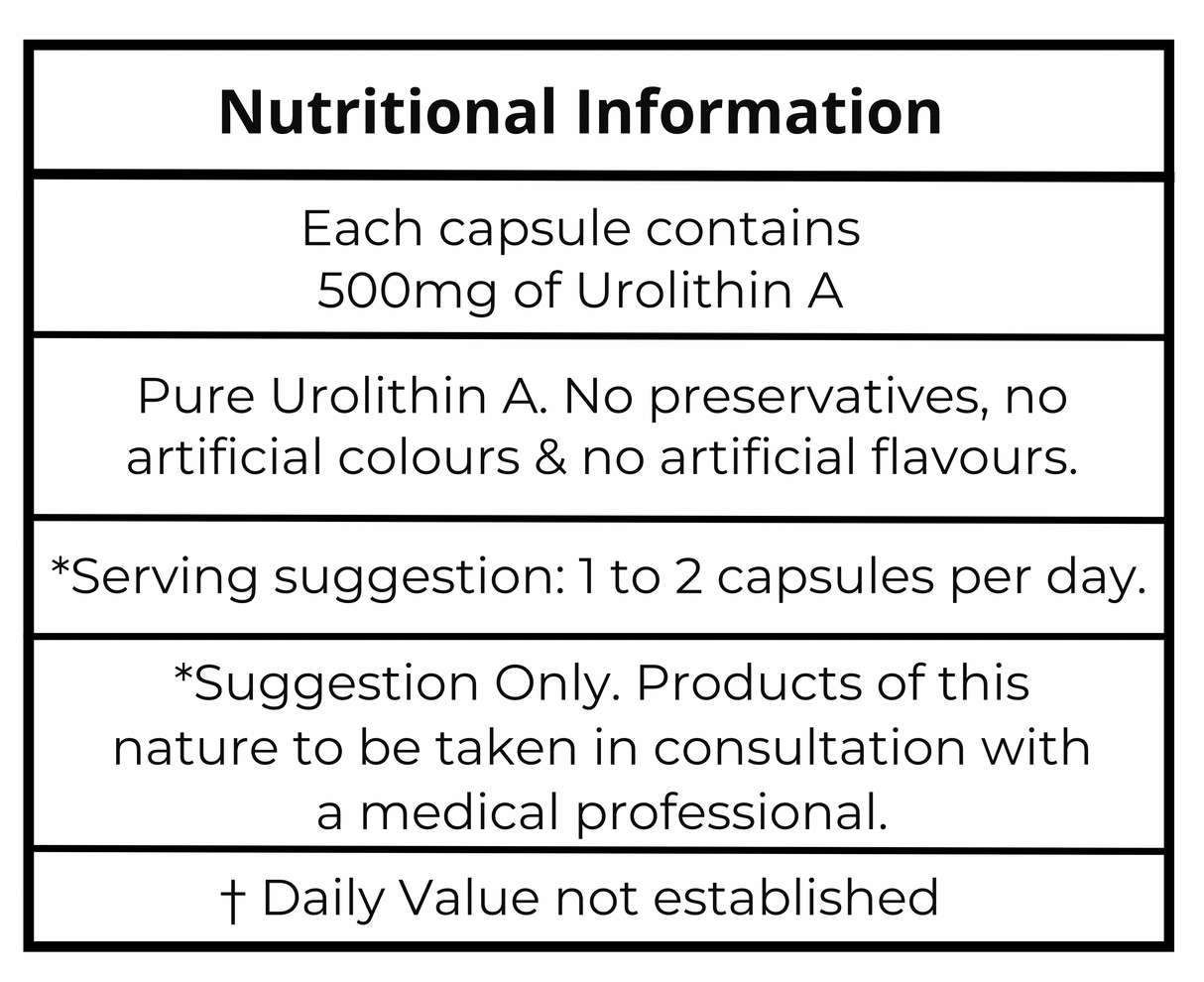 Urolithin A – UA – Capsules – 500mg