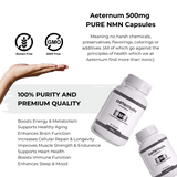 500mg NMN Capsules – PURE NMN – Nicotinamide Mononucleotide (Beta, β-NMN)