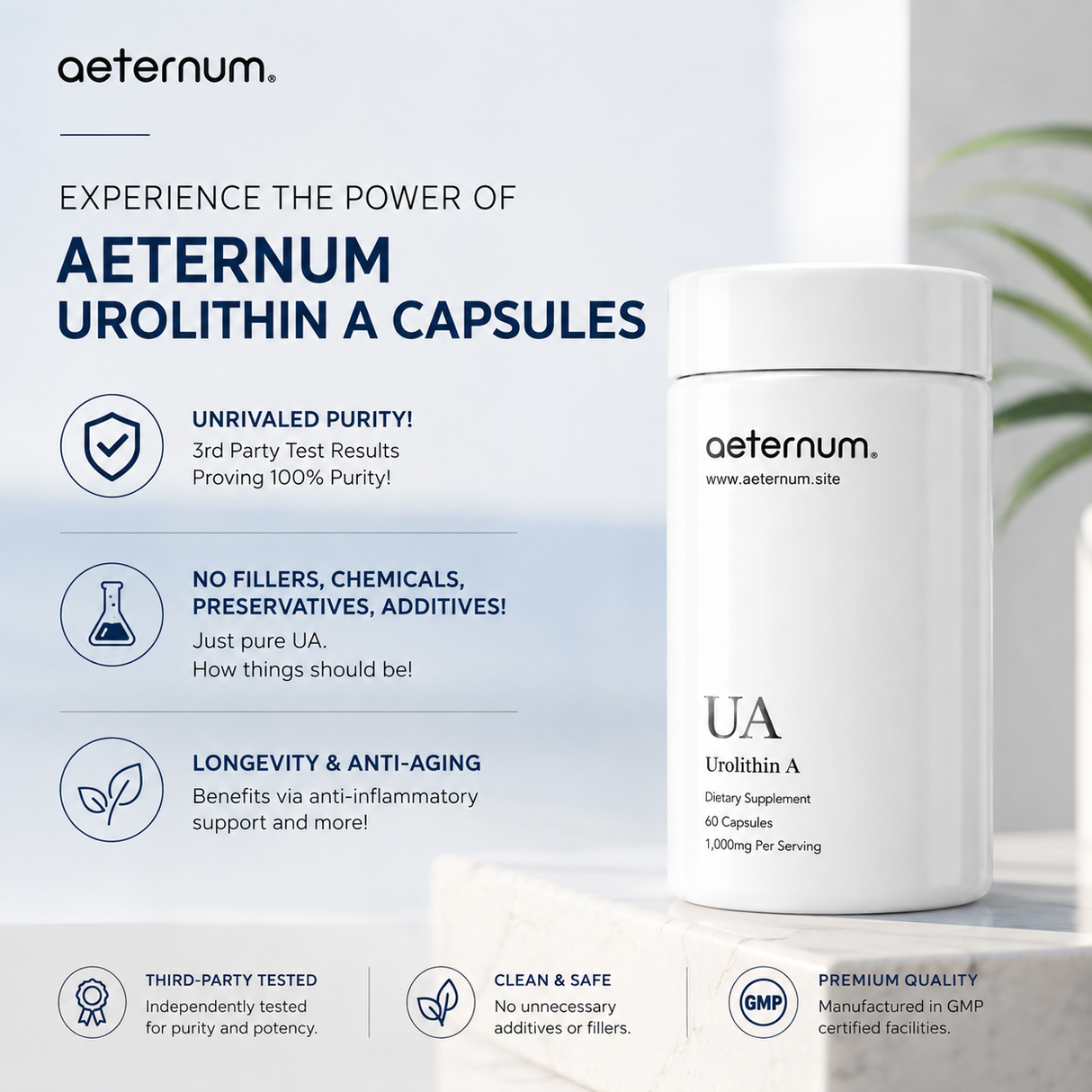 Aeternum® Urolithin A (UA) 500mg Capsule (1,000mg Per Serving)