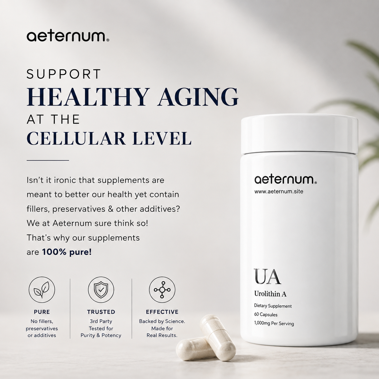 Aeternum® Urolithin A (UA) 500mg Capsule (1,000mg Per Serving)