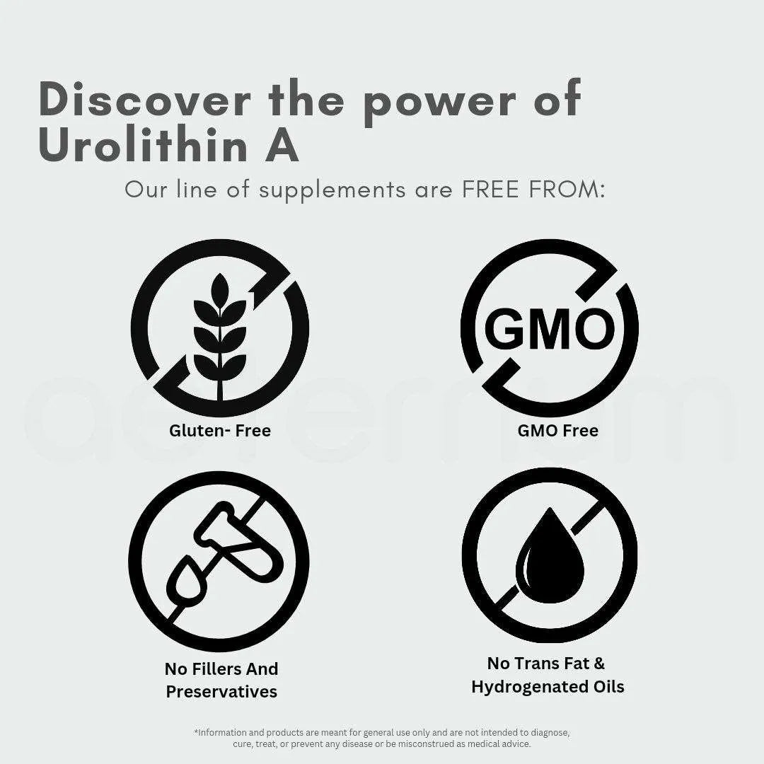 Urolithin A – UA – Capsules – 500mg