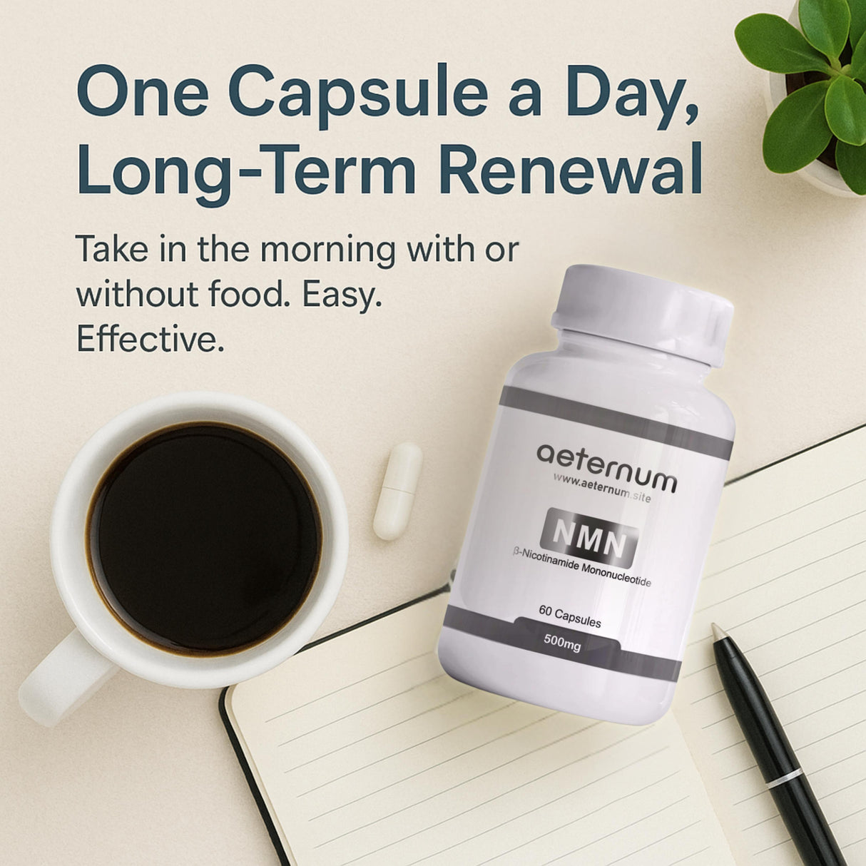 Aeternum NMN 500mg Capsules